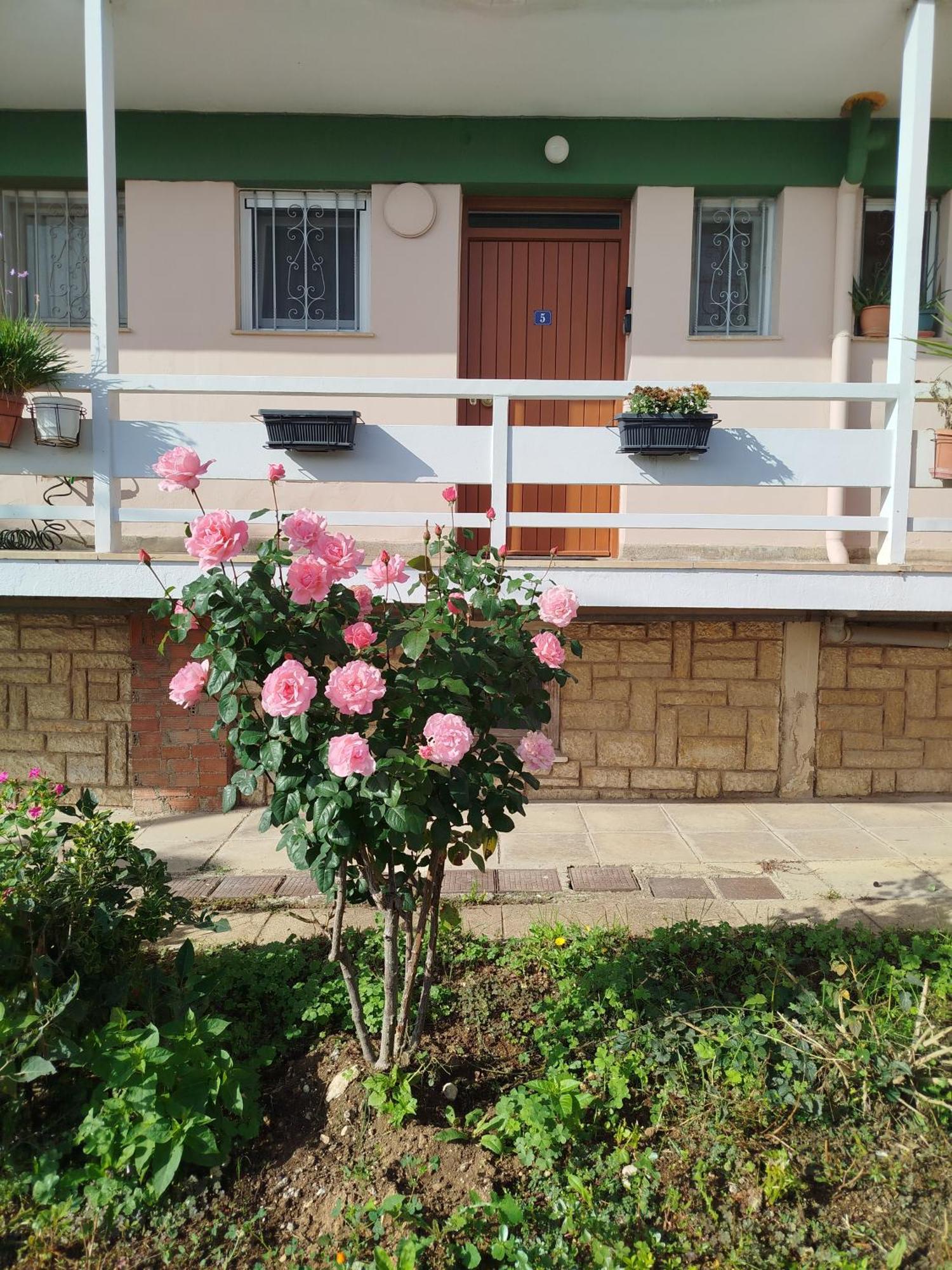 Ioannis Apartment *